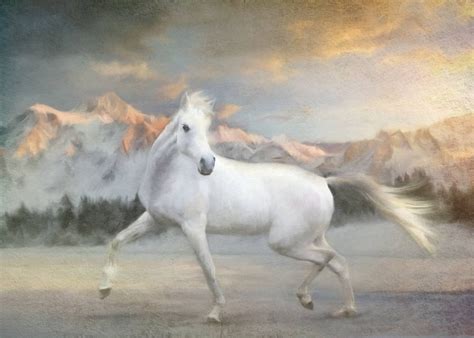 art, Painting, Beauty, Horse, Oil, Beautiful, White Wallpapers HD ...