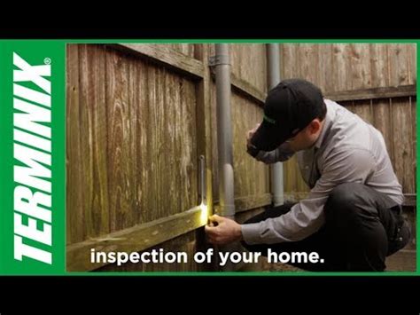 Protect Home From Termites - Termite Inspection Process - Terminix - YouTube