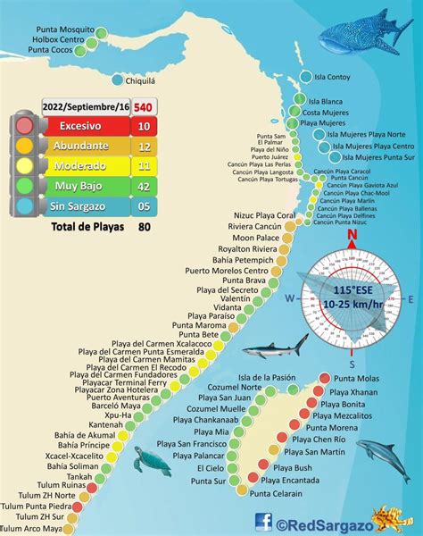 All Cancun Beaches Nearly Seaweed-Free, October 2022 Forecast Update