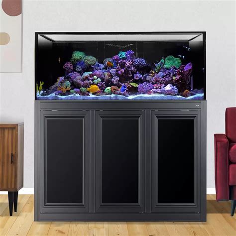 100 Gallon Fish Tank: Our Top 3 Choices On A Budget