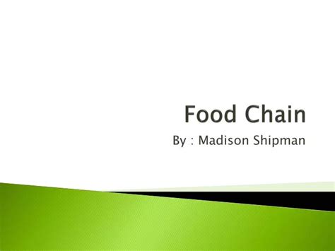 PPT - Food Chain PowerPoint Presentation, free download - ID:2503029