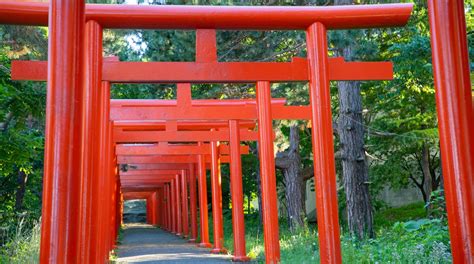 Fushimi Inari Shrine in Fushimi Ward - Tours and Activities | Expedia.ca