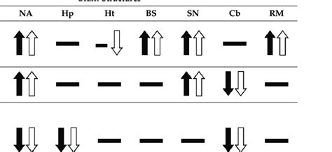 The effects of novel atypical neuroleptic drugs the liver and brain ...