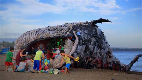 WWF sounds alarm after whale with 50 pounds of plastic in its stomach ...