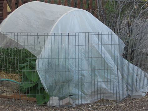 Hotspot: Gardening in the Desert: Small hoop house