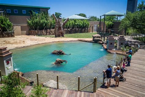 Explore The Zoo - The Houston Zoo