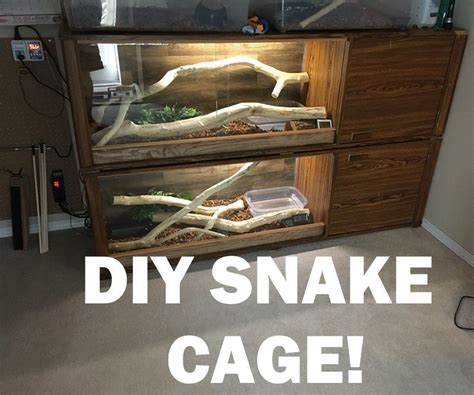 Pin on Reptile Tank Ideas