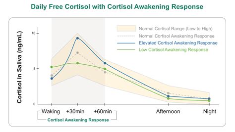 Cortisol Awakening Response — On Your Mark Nutrition