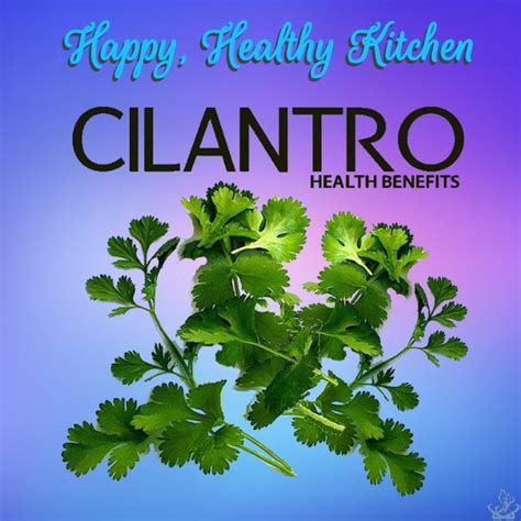 Happy Healthy Kitchen – Health Benefits of Cilantro – AZMed Weight Control