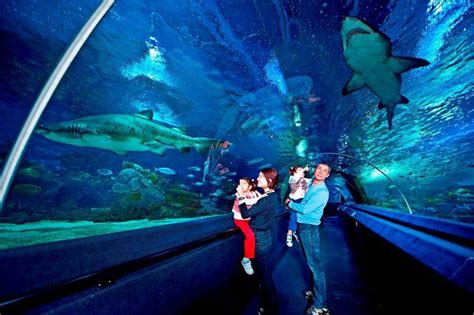 Istanbul Aquarium Entrance Fee & Hours 2022 - Istanbul Clues