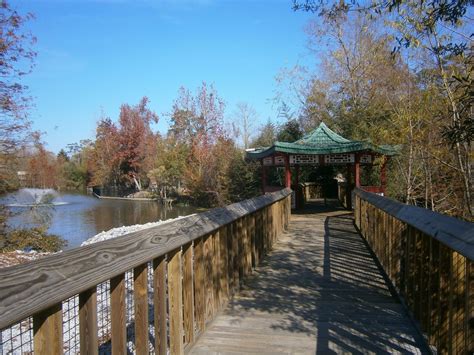 The Top Things to Do in Hattiesburg, MS