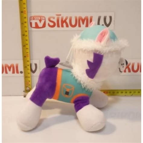 Paw Patrol Everest Toy - Sikumi.lv. Gift Ideas