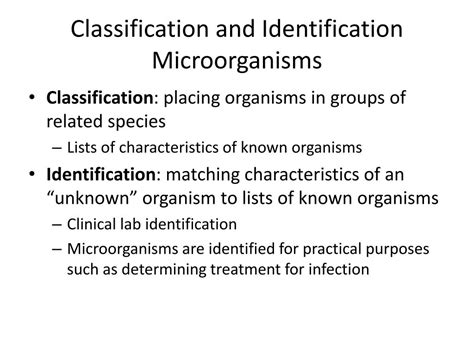 PPT - Lesson 4: Classification of Microorganisms PowerPoint Presentation - ID:2240335