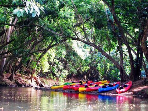 Rainbow Kayak - Wailua River Kayak Tour - Hawaii Discount