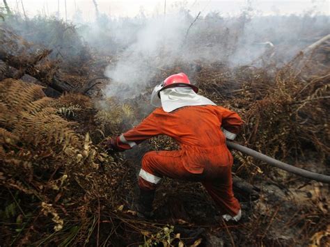 Forest Fire Prevention | Smithsonian Photo Contest | Smithsonian Magazine