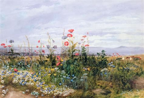 Andrew Nicholl: Wildflowers with a View of Dublin Dunleary | Landscape paintings, Wild flowers ...