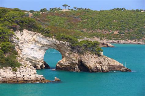 Gargano National Park in Italy Stock Image - Image of cove, cave: 243536937