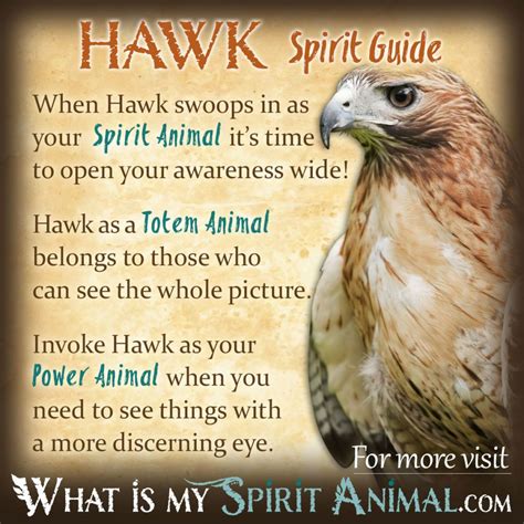 Hawk Spirit Totem Power Animal Symbolism Meaning 1200x1200 Hawk Spirit Animal, Spirit Animal ...