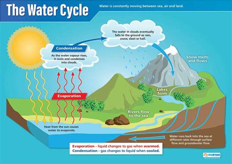 Buy The Water Cycle | Science s | Gloss Paper measuring 850mm x 594mm ...