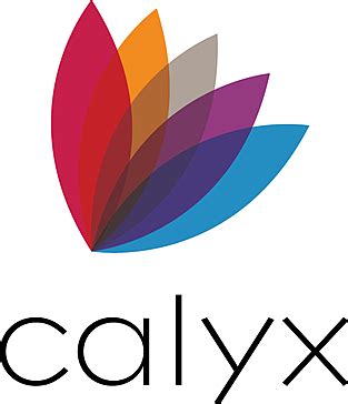 Calyx Point Reviews 2021: Details, Pricing, & Features | G2