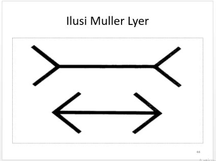 Ilusi Muller Lyer – SCALE UP CLUB