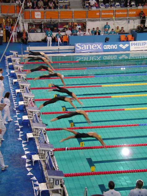 Category:Freestyle swimming - Wikimedia Commons