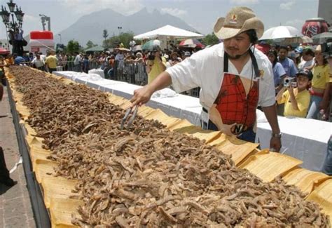 World's largest taco ಥ_ಥ : r/tacos