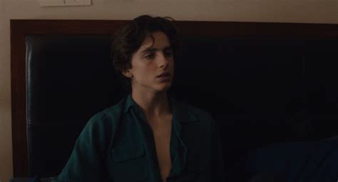 Picture of Timothee Chalamet in Lady Bird - timothee-chalamet ...