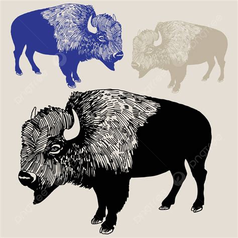 North American Bison Or Buffalo Sketch Illustration Horns Vector ...