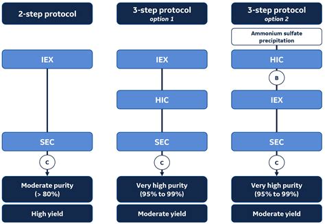 Untagged protein purification protocols | Cytiva