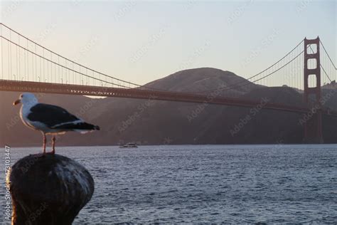 Amazing walk at the Golden Gate Bridge in San Francisco, United States ...