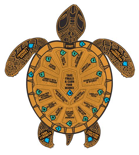 Native American Turtle