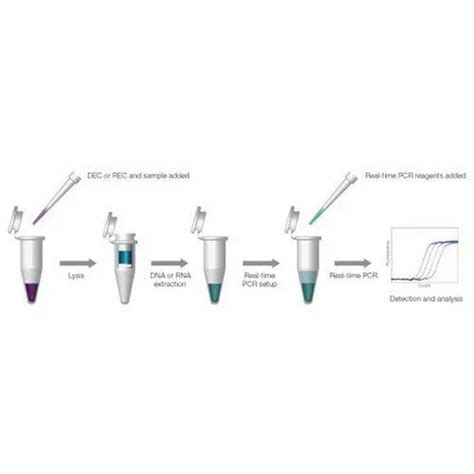 Total RNA Extraction Kit ( By Trizol), For Hospital, | ID: 9561982955