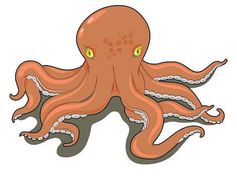 Octopus Character Design Octopus Stock Illustration - Download Image ...