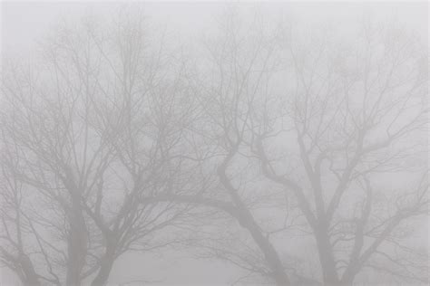 Beautiful white mist natural scenery 3446153 Stock Photo at Vecteezy