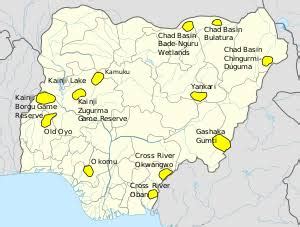 Importance of forest: Forest reserves in Nigeria