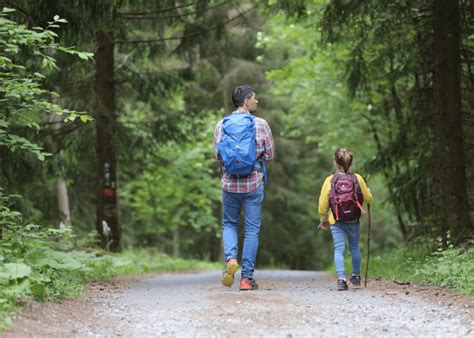 Hiking in Singapore: top 10 trails for adults & kids | HoneyKids Asia