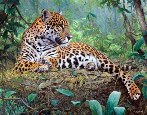 Gabriel Hermida. Pinturas. | Jaguar animal, Big cats art, Animal art