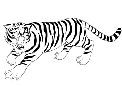 Roaring Tiger coloring page | Free Printable Coloring Pages