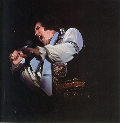 Elvis in concert Elvis Presley Concerts, Elvis In Concert, Music Legends, Photos Du, Belle Photo ...