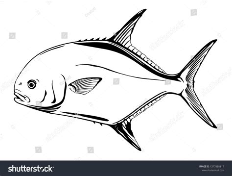 Permit Fish Side View Realistic Sea Stock Vector (Royalty Free ...