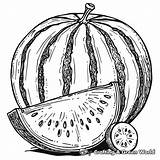 Watermelon Coloring Pages  Free & Printable sketch template