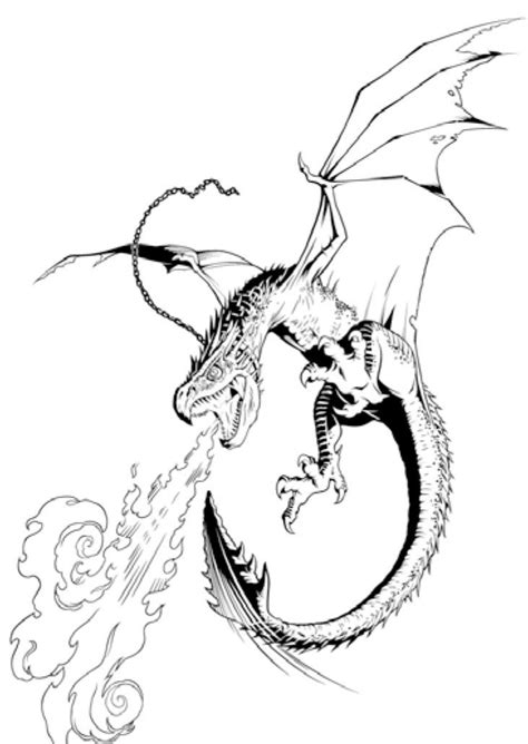 Image result for harry potter pictures to colour | Dragon sketch, Fire ...