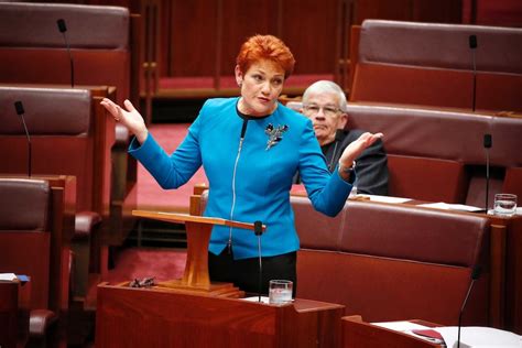 Politicians react to Pauline Hanson's walkout during Acknowledgement of ...