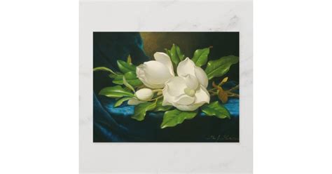 Giant Magnolias on a Blue Velvet Cloth Postcard | Zazzle