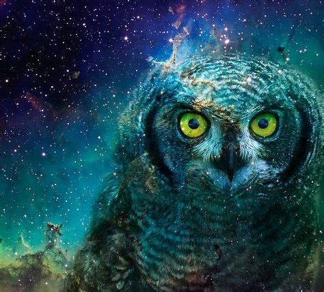 15 Spirit Owl ideas | owl, owl art, animal spirit guides