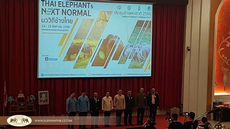 Elephant Hills Attends National Elephant Conference 2023