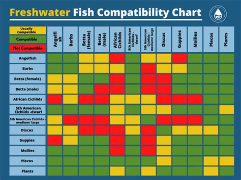 Fish Compatibility Chart For Freshwater And Saltwater Pets