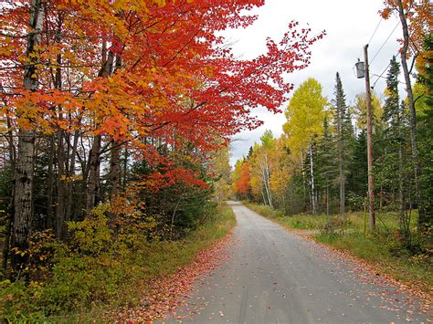 Enjoy Maine Fall Foliage | Dockside GQ