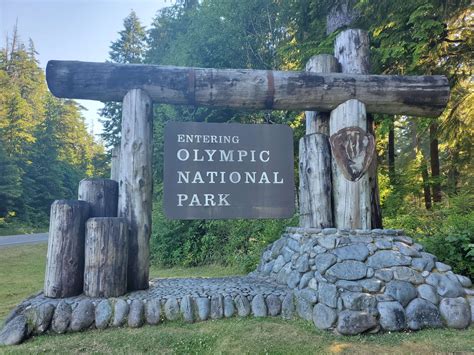 The Camper’s Complete Guide to Visiting Olympic National Park - Amateur Adventure Journal